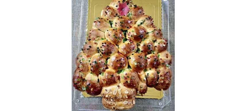 ROSCON PASCUA Y REYES