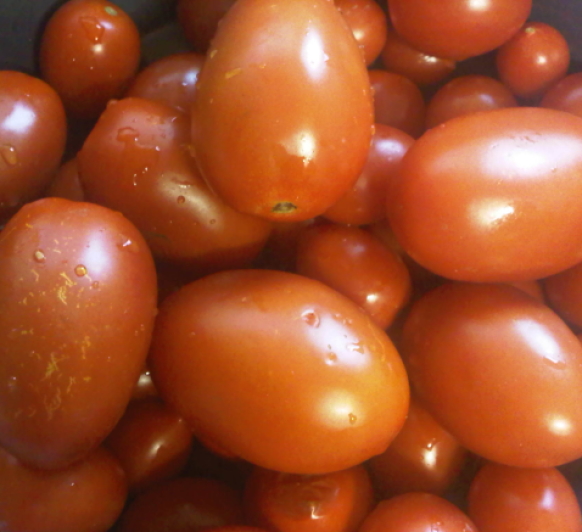 Cómo conservar  tomate. Utiliza el varoma